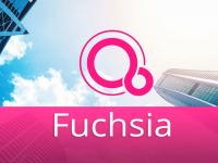  Fuchsia 