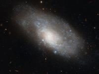 NGC 4980