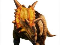 Xenoceratops foremostensis